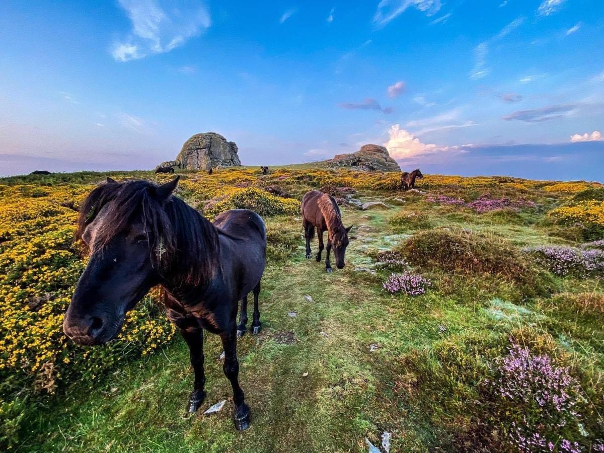 Apartament Haytor Court, Haytor, Dartmoor Zewnętrze zdjęcie